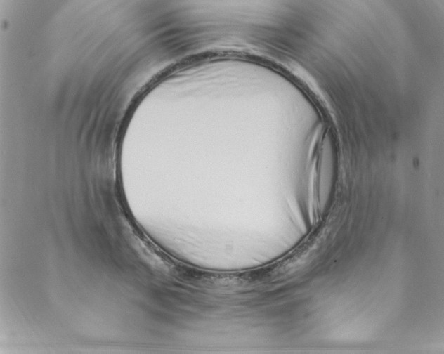 X0000088840791200707051446