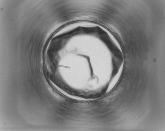 X0000088840792200707051446