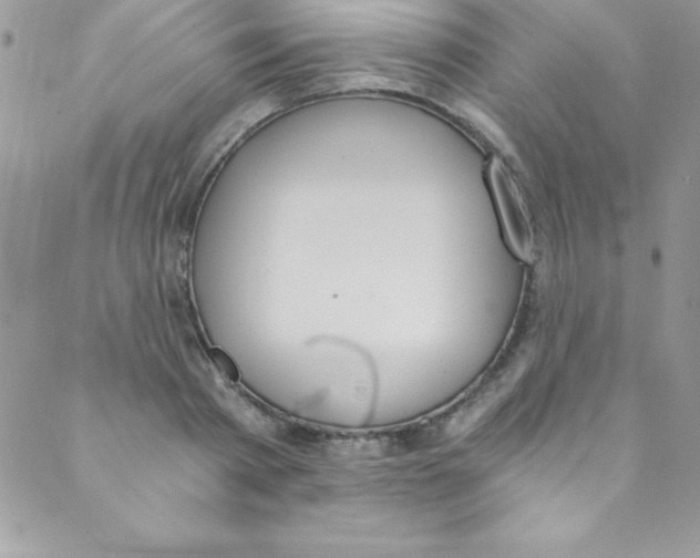 X0000088840793200707051446