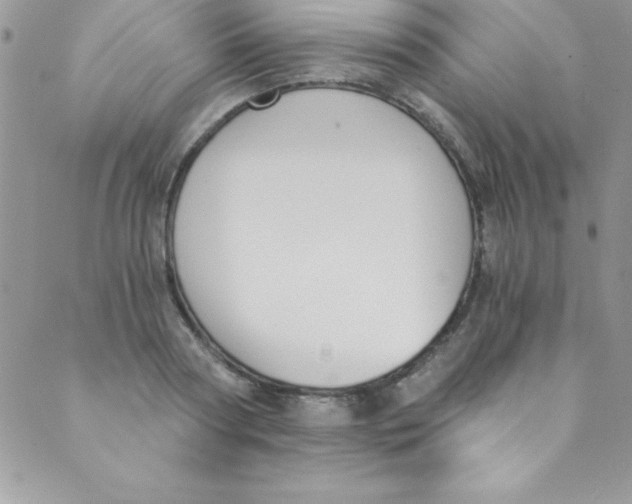 X0000088840794200707051446