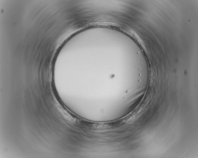 X0000088840795200707051446