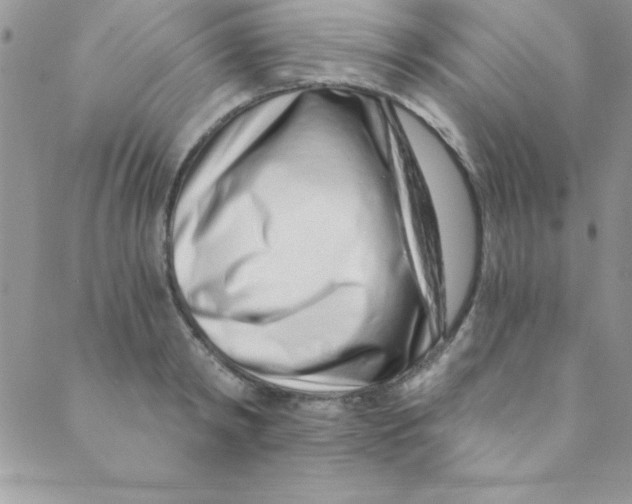 X0000088840798200707051446