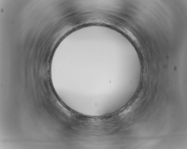 X0000088840799200707051446