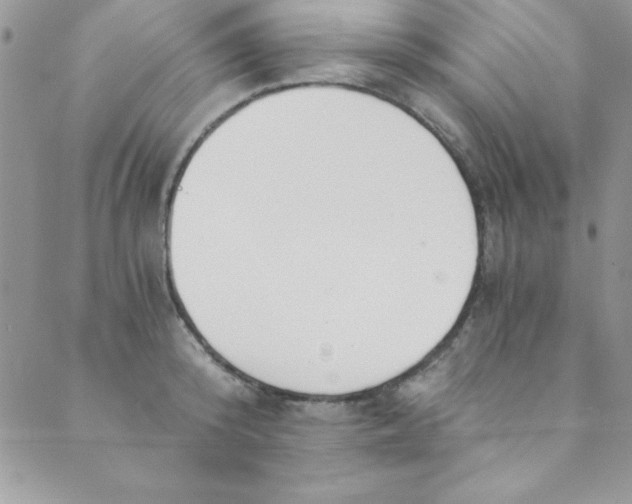 X0000088840800200707051446