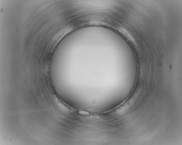 X0000088840801200707051446