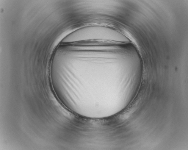 X0000088840803200707051446