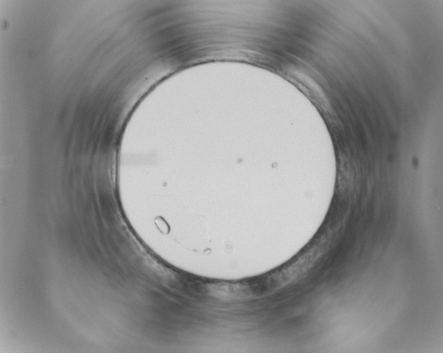 X0000088840804200707051446