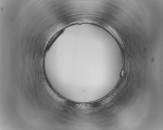 X0000088840805200707051446