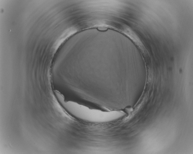 X0000088840806200707051446