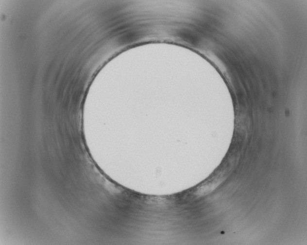 X0000088840807200707051446