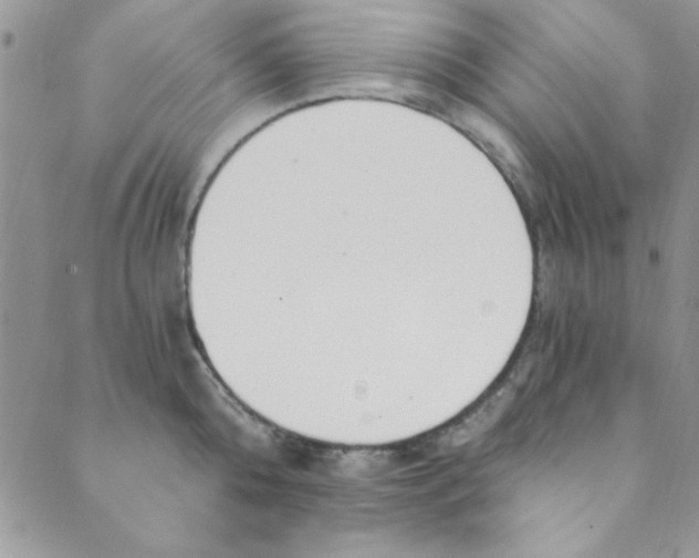 X0000088840808200707051446