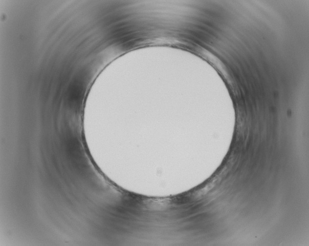 X0000088840810200707051446