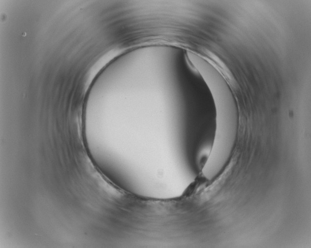 X0000088840812200707051446