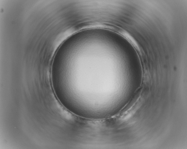 X0000088840813200707051446