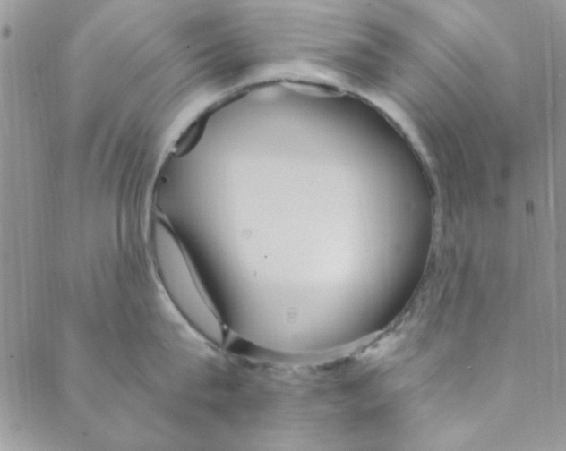 X0000088840815200707051446