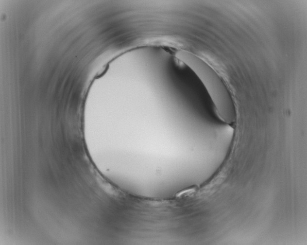 X0000088840816200707051446