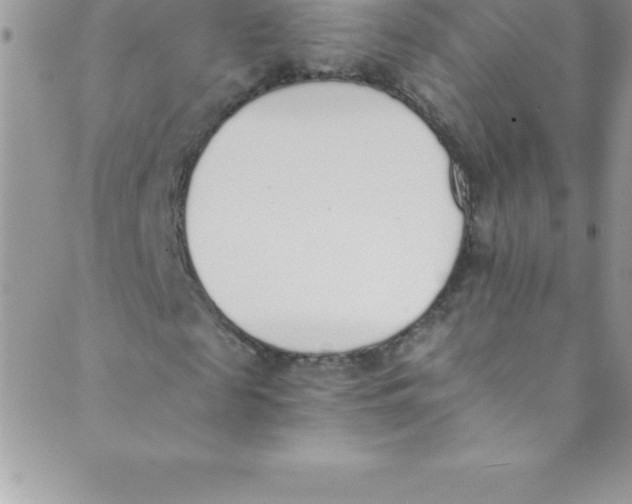 X0000088840817200707051445