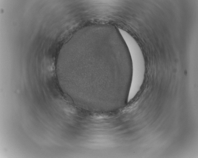 X0000088840818200707051445