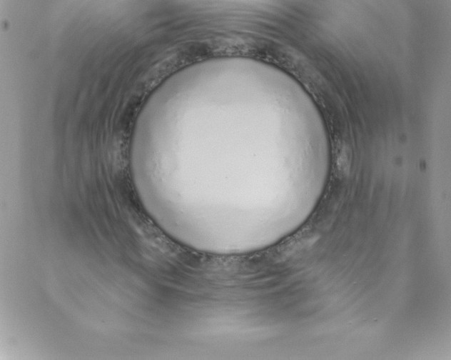 X0000088840819200707051445