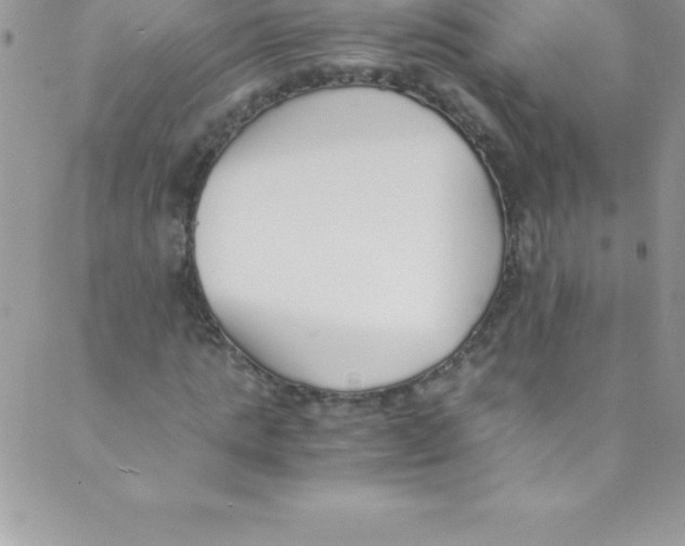 X0000088840821200707051445