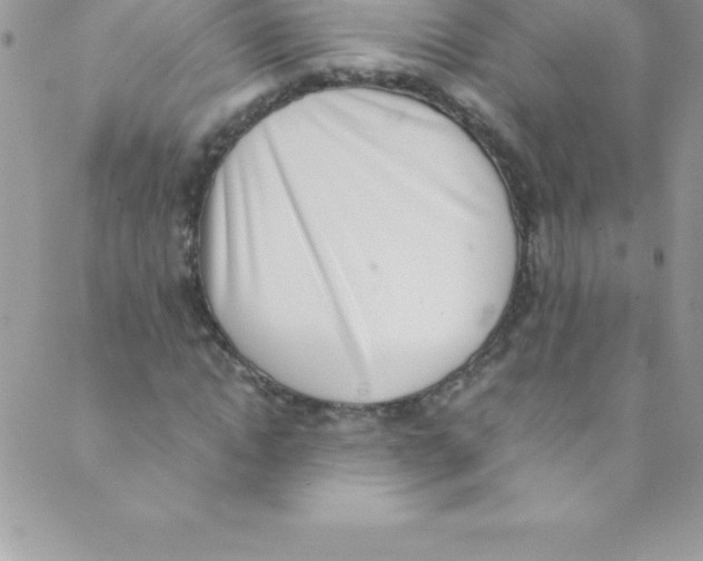 X0000088840822200707051445