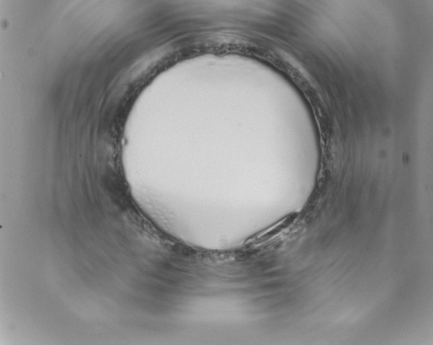 X0000088840823200707051445