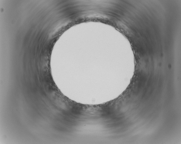 X0000088840824200707051445