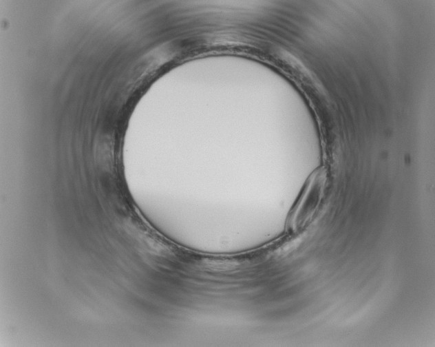 X0000088840825200707051445