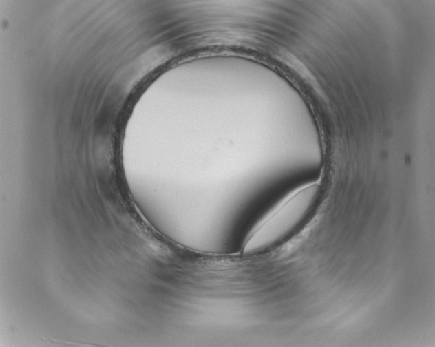 X0000088840826200707051445