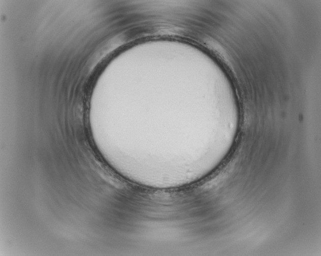 X0000088840827200707051445