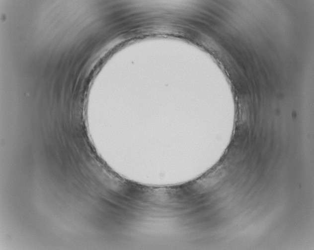 X0000088840828200707051445