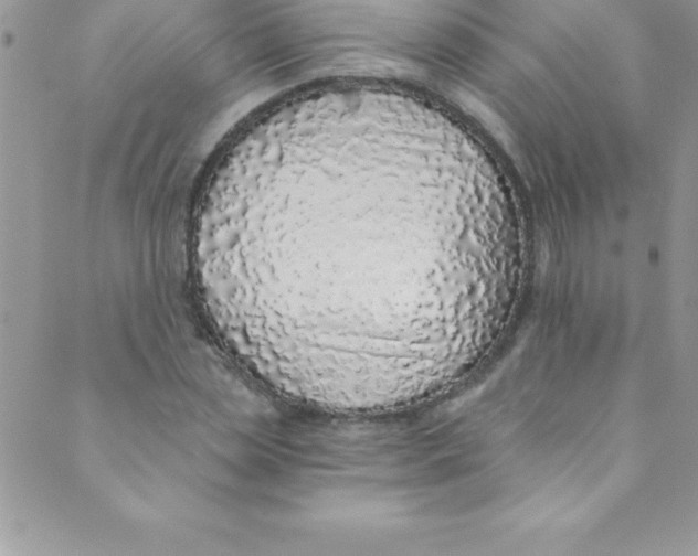 X0000088840829200707051445