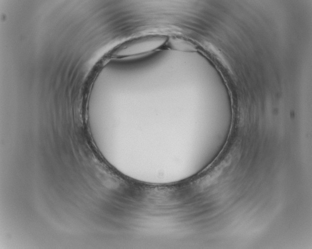 X0000088840830200707051445