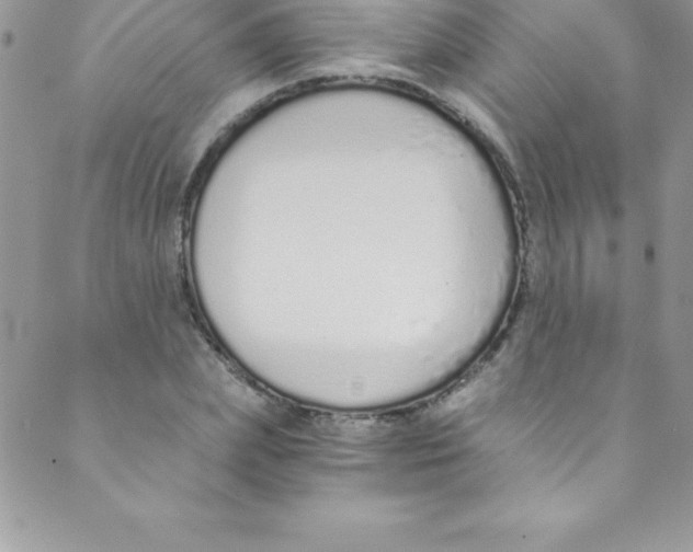 X0000088840831200707051445