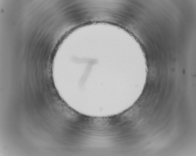 X0000088840832200707051445