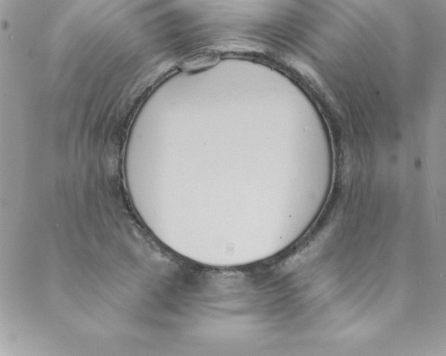 X0000088840833200707051445