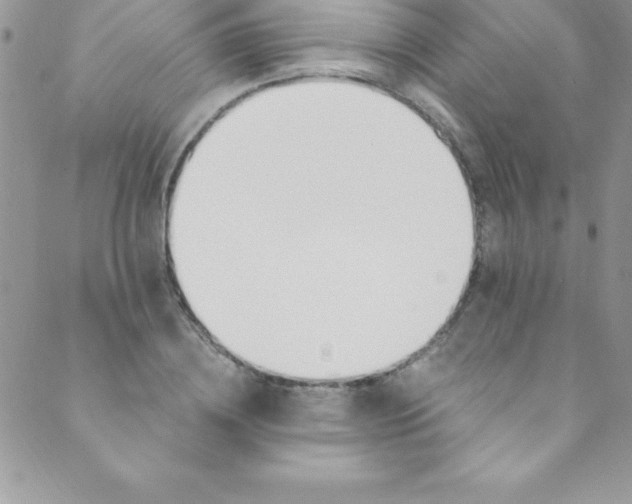 X0000088840836200707051445