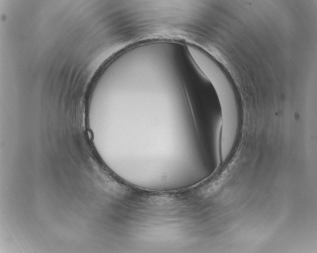 X0000088840838200707051445