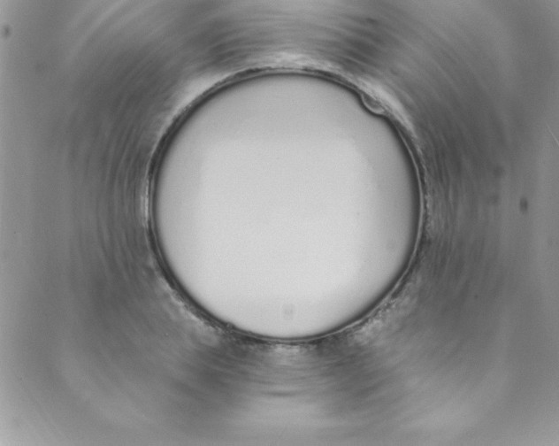 X0000088840839200707051445