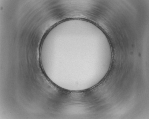 X0000088840840200707051445