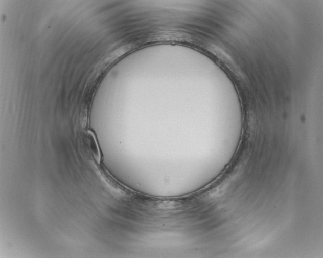 X0000088840841200707051445