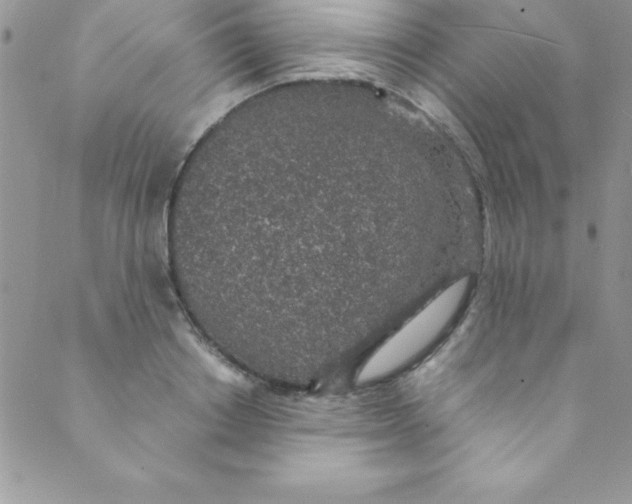 X0000088840842200707051445