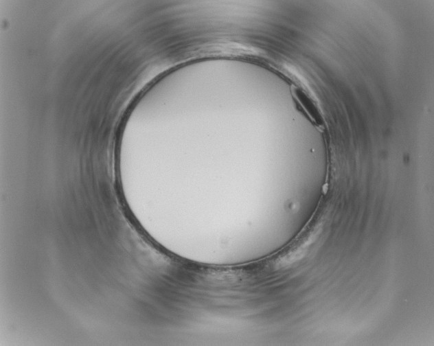 X0000088840843200707051445