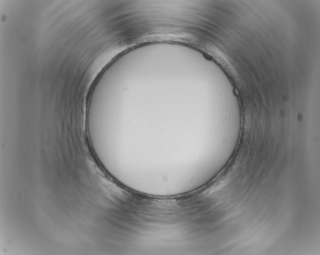 X0000088840844200707051445