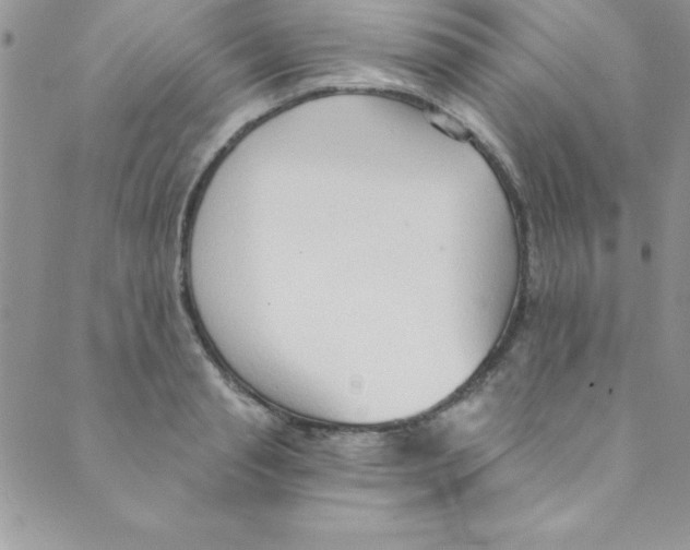 X0000088840845200707051445