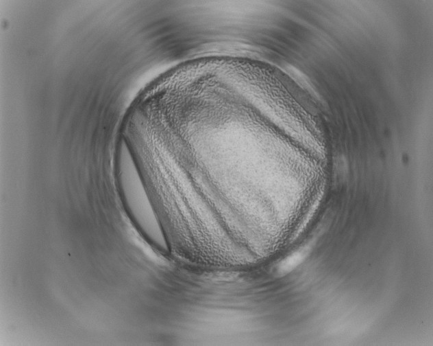 X0000088840846200707051445