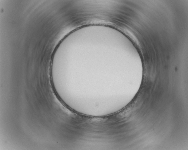 X0000088840847200707051446