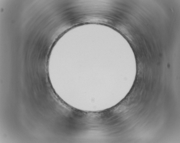 X0000088840848200707051446