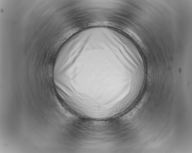 X0000088840849200707051446