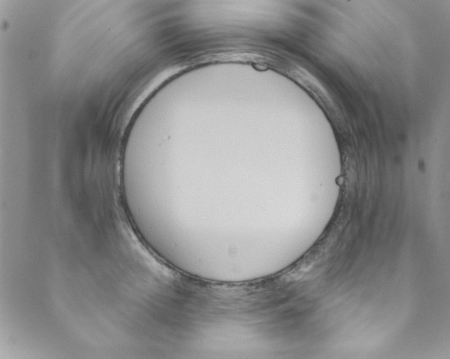 X0000088840852200707051446